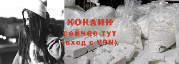 винт Краснослободск