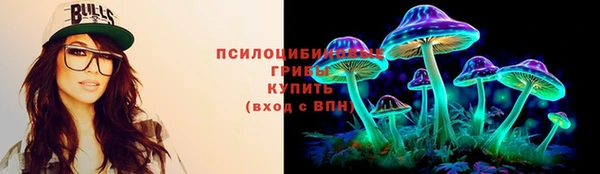 крисы Красноперекопск