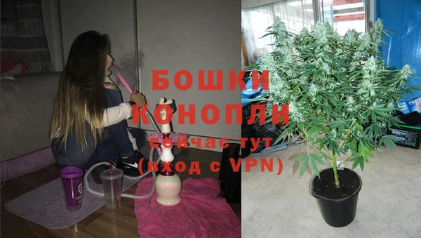 крисы Красноперекопск
