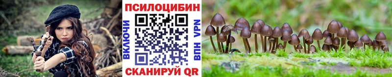 купить  сайты  Кочубеевское  Галлюциногенные грибы MAGIC MUSHROOMS 